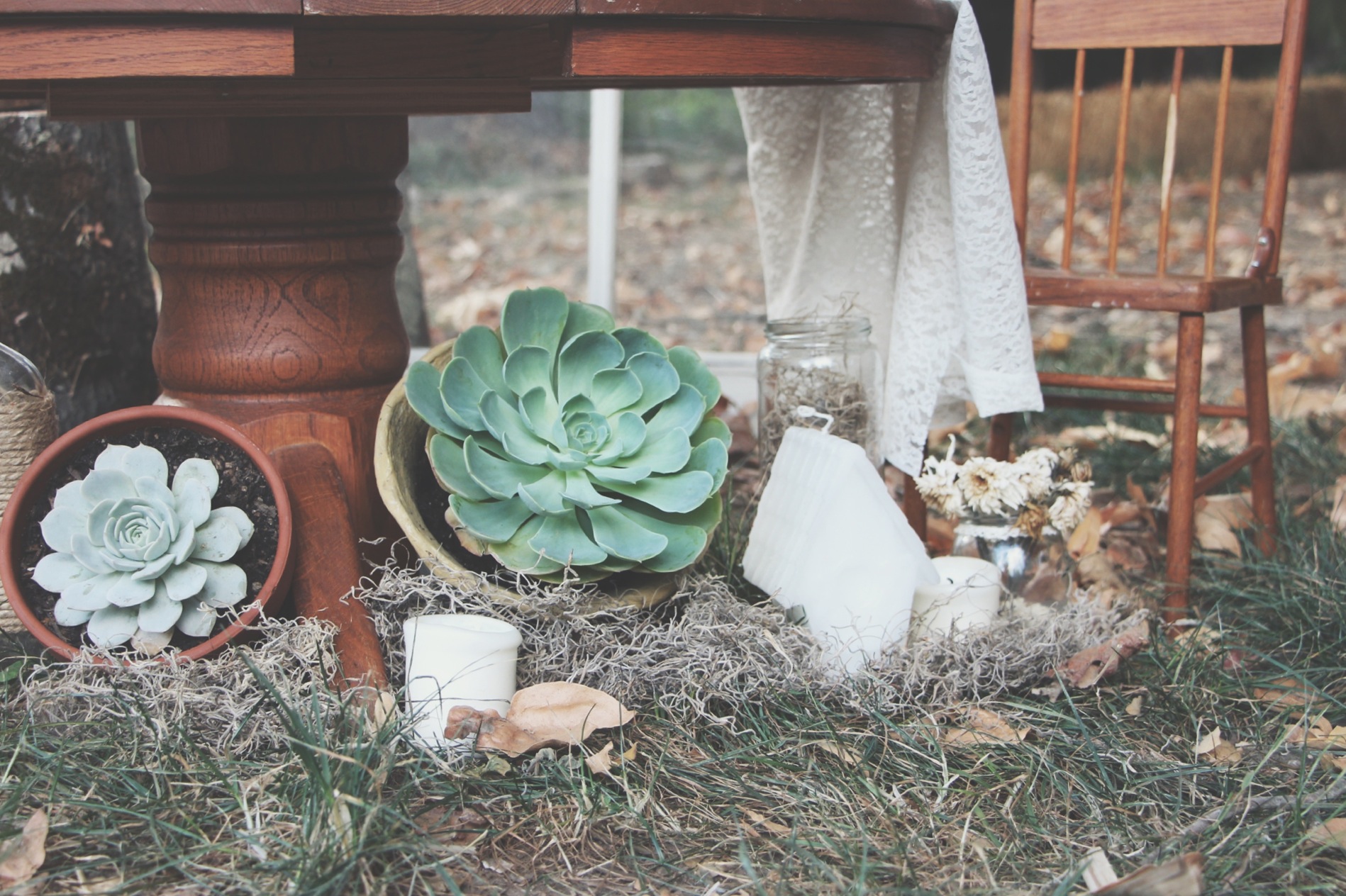 A Succulent Tea Party via Needles + Leaves :: we styled this photo shoot with succulents in a teapot, teacups, mason jars, a bell jar, and terra cotta pots. :: flowers, roses, daisies, babies breath::&nbsp;vintage inspired owl, reused, repurposed, s…